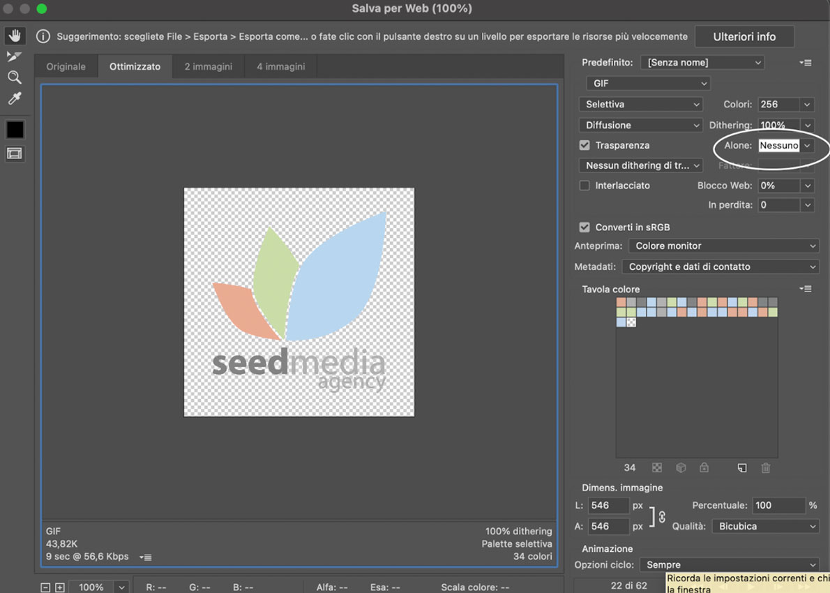 Come creare una GIF per Instagram | Seed Media Agency